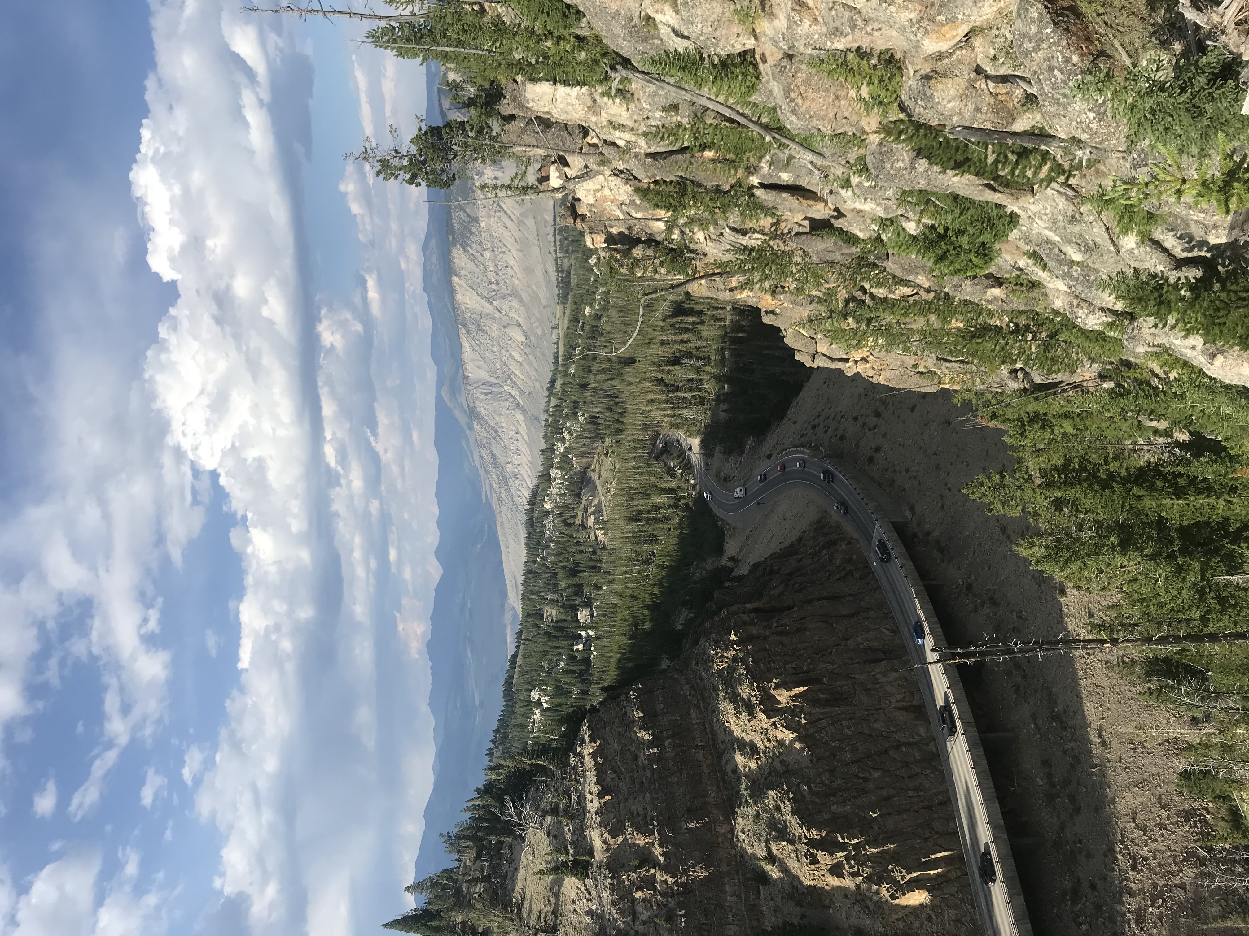 IMG_4836.jpeg